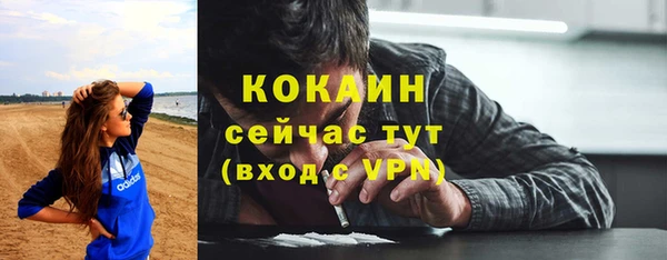 индика Верхний Тагил