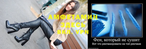 дурь Бородино