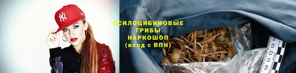 2c-b Белоозёрский