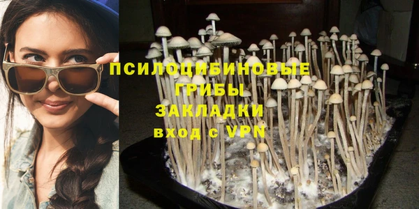 спиды Бронницы