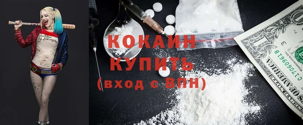 индика Верхний Тагил