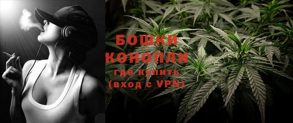 дурь Бородино
