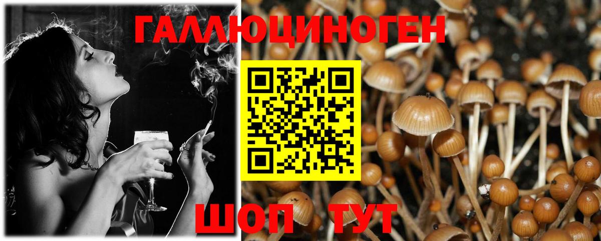 Псилоцибиновые грибы MAGIC MUSHROOMS Гатчина