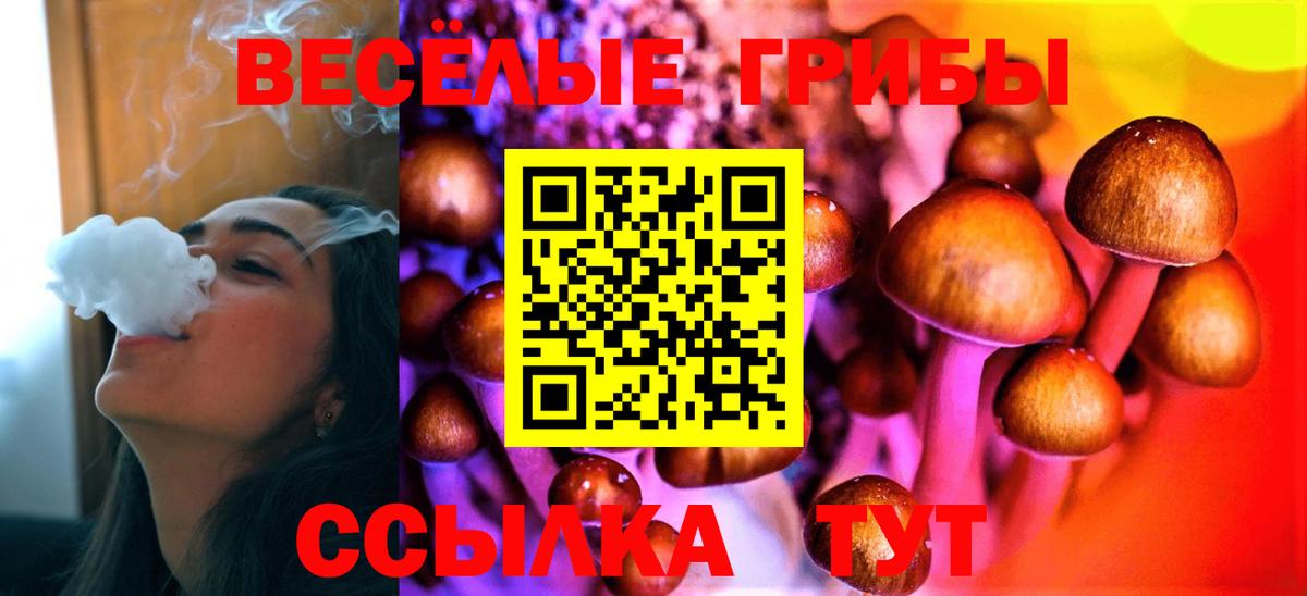 Гатчина  Галлюциногенные грибы MAGIC MUSHROOMS  Вход с VPN  Псилоцибиновые грибы GOLDEN TEACHER 
