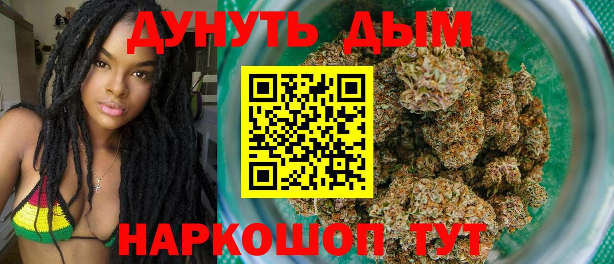 Канабис сатива Гатчина